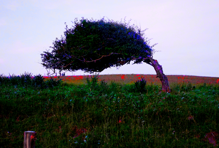 flurosent tree