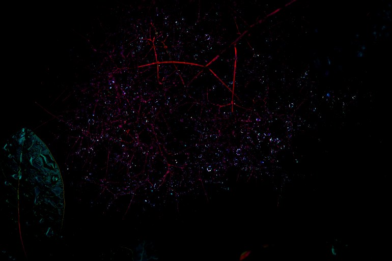 stars 2