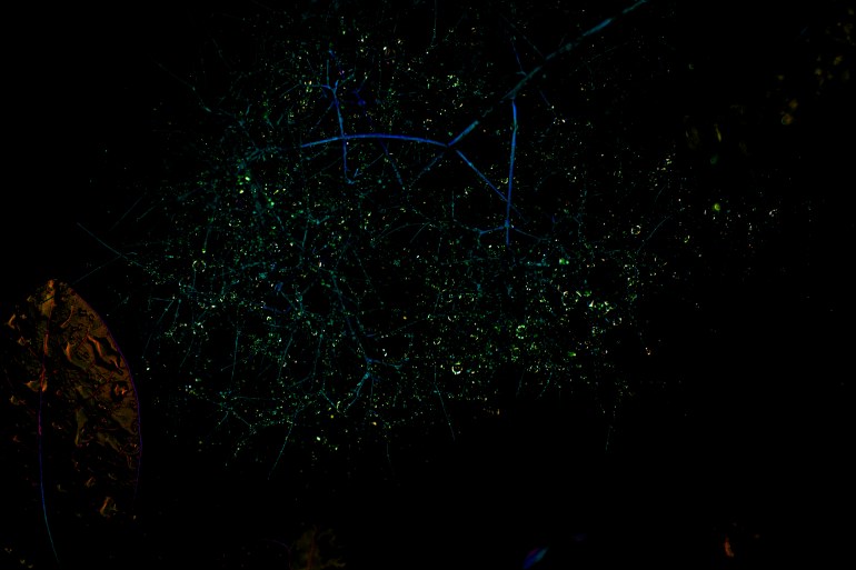 stars 3