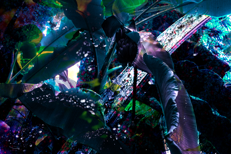 jungle version 2 copy flattened